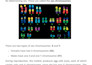 create clear and professional biology study notes or summaries